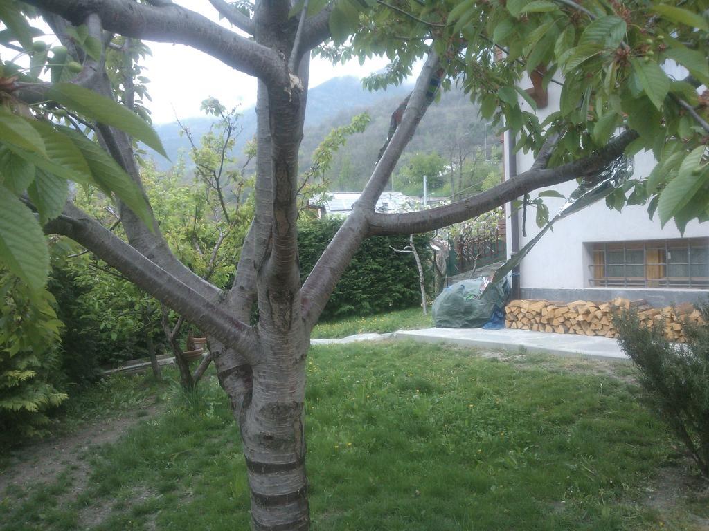 Casa Adriana Διαμέρισμα Saint-Vincent Εξωτερικό φωτογραφία
