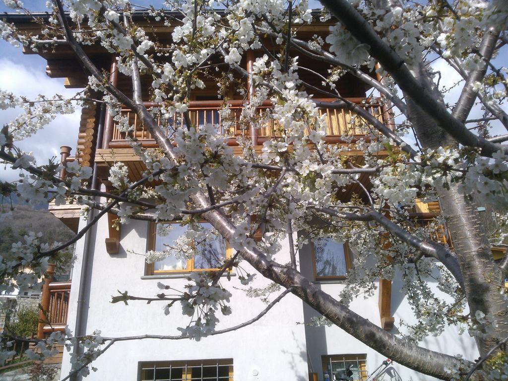 Casa Adriana Διαμέρισμα Saint-Vincent Εξωτερικό φωτογραφία